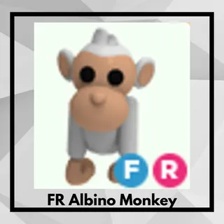 FR Albino Monkey