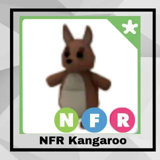 NFR Kangaroo 