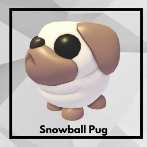 Snowball Pug