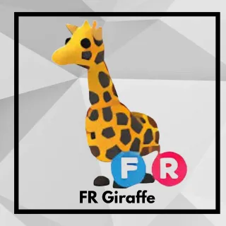 FR Giraffe