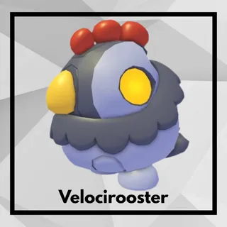 Velocirooster