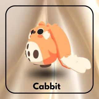 Cabbit