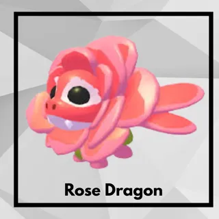 Rose Dragon 