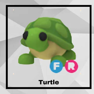 FR Turtle