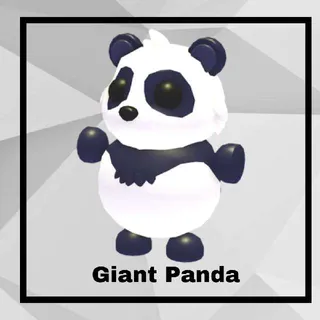 Giant Panda