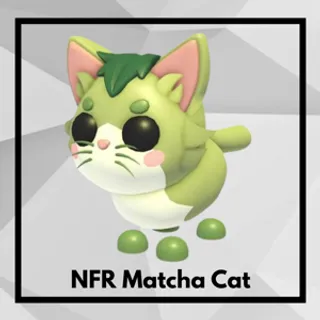 NFR Matcha Cat