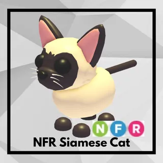NFR Siamese Cat