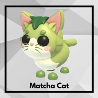 Matcha Cat