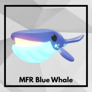 MFR Blue Whale