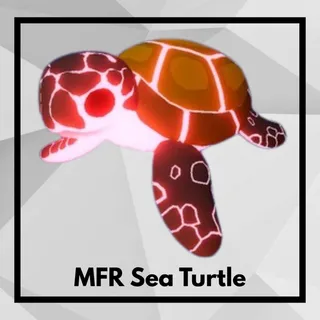 MFR Sea Turtle