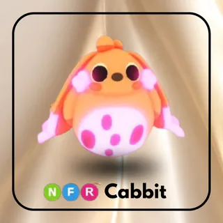 NFR Cabbit