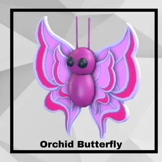 Orchid Butterfly