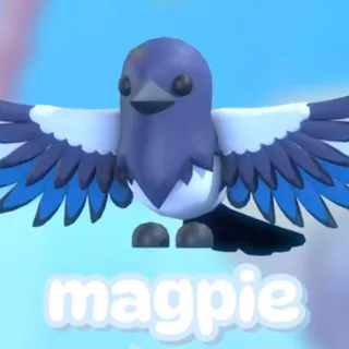 100x Magpie