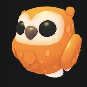 1x Clementine Owl