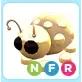 NFR golden ladybug
