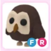fr owl