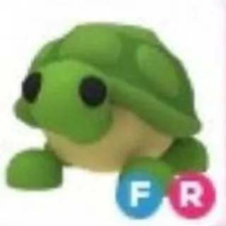 FR turtle