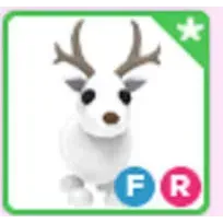 fr arctic reindeer