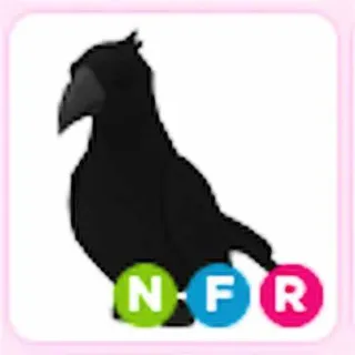 NFR Crow