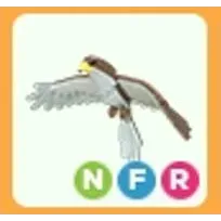NFR Hawk