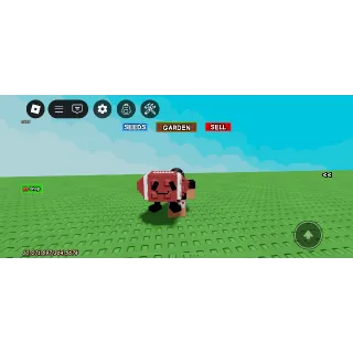 FOOTBALL GROW A GARDEN