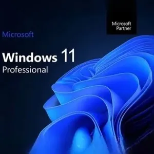 Windows 11 pro key instant 