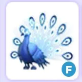 Moonbeam Peacock F