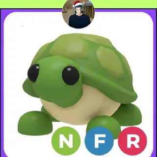 Nfr Turtle