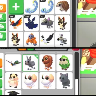 Adopt Me Pet Bundle 120+