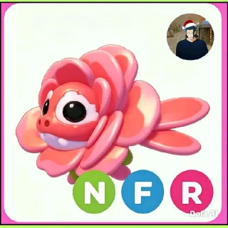 Nfr Rose Dragon