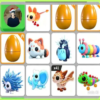 Bundle Pet