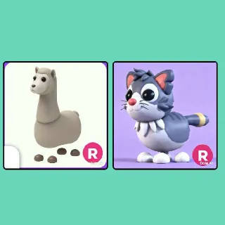 Bundle Pet