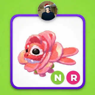 Rose Dragon Nr