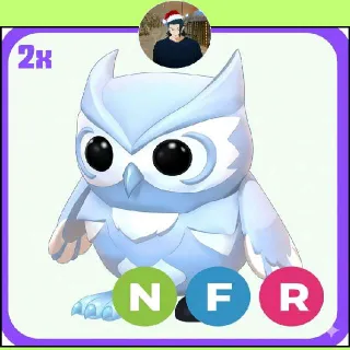 Snow Owl Nfr