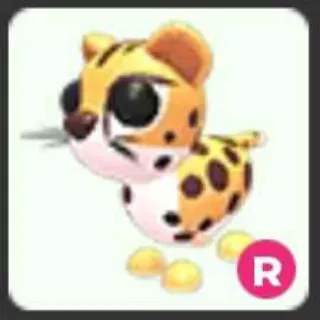 R Cheetah