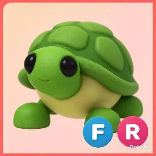 Turtle FR