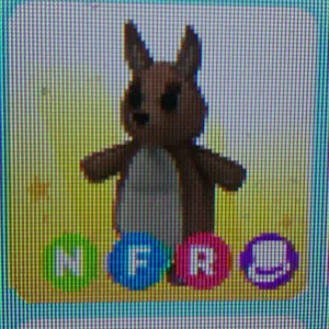 NFR Kangaroo