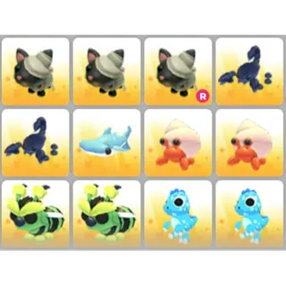 BUNDLE PET X12