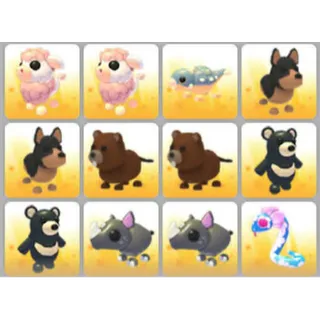BUNDLE PET X12