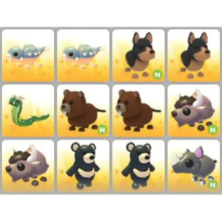BUNDLE PET X12