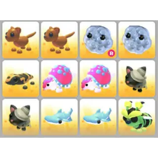 BUNDLE PET X12