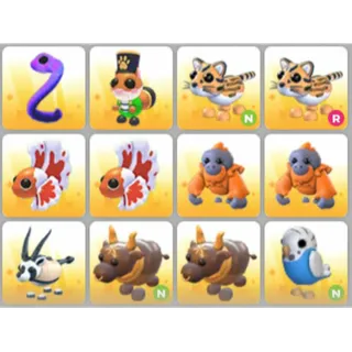 BUNDLE PET X12