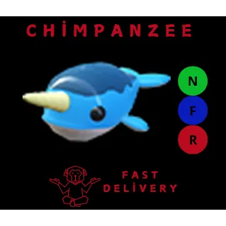 NRF NARWHAL