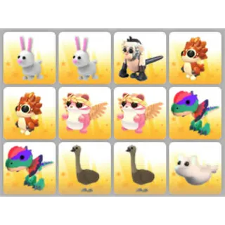 BUNDLE PET X12