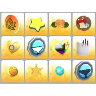 BUNDLE PET WEAR X12