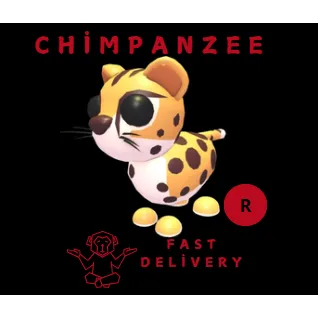 cheetah R