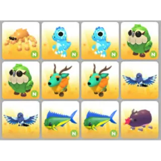 BUNDLE PET X12