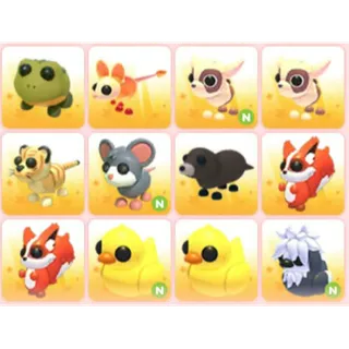 BUNDLE PET X12