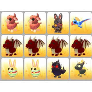 BUNDLE PET X12