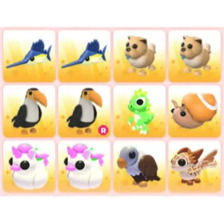 BUNDLE PET X12